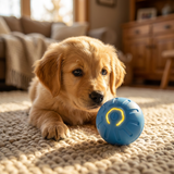 Curious puppy looking at the blue Pawfect smart toy ball on a rug