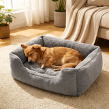 Small dog snuggled into the Pawfect grey pet bed, warm morning light