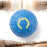 Smart Dog Toy Ball — white background studio photo, top